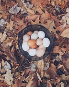 eggs-1082150__180.jpg